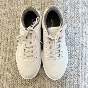 Allbirds wool pipers